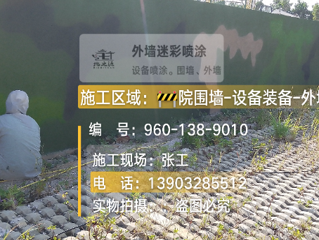 阿勒泰外墙迷彩漆材料价约 45-60 元 /k